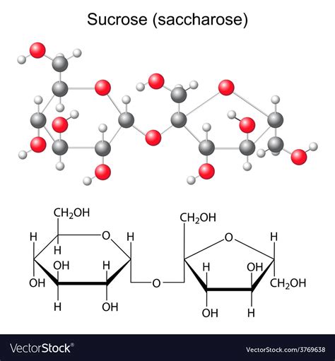 Chemical Makeup Of Sucrose Mugeek Vidalondon