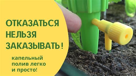Бюджетный капельный полив без сложного монтажа - YouTube