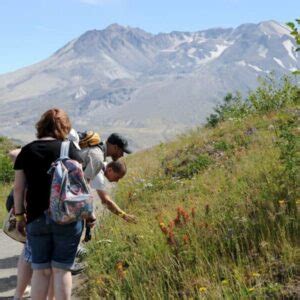 Day Tourmt St Helens Natl Monument Evergreen Escapes