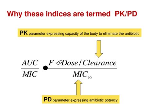 PPT PK PD For Antibiotics An Overview PowerPoint Presentation Free