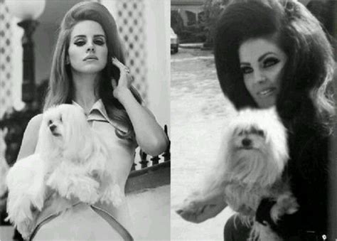 Lana Del Rey & Priscilla Presley Resemblance : r/lanadelrey