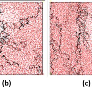 The snapshots of (a) PCE1 (b) PCE2 (c) PCE3 and (d) PCE4 in aqueous ...