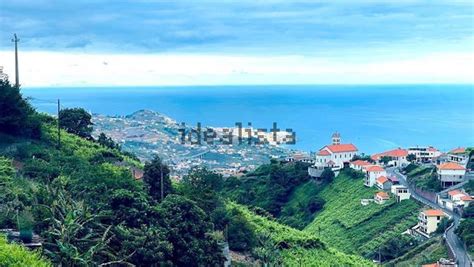 Terreno Venda Na Estrada Do Pomar Novo Estreito C Mara De Lobos