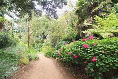 Abbotsbury Subtropical Gardens - April Everyday