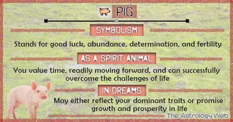 Pig Meaning and Symbolism | Spirit animal totem, Spirit animal, Spirit animal meaning