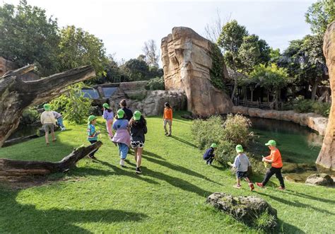 Bioparc Valencia Abre Las Inscripciones Para La Escuela De Pascua