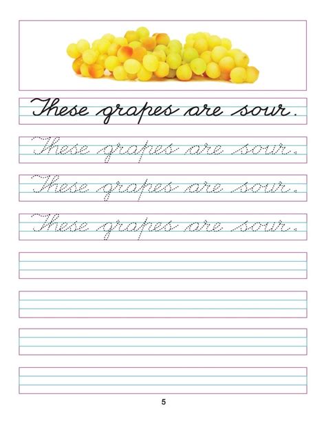 Cursive Writing Book Sentences Part 5 Dreamland Publications The