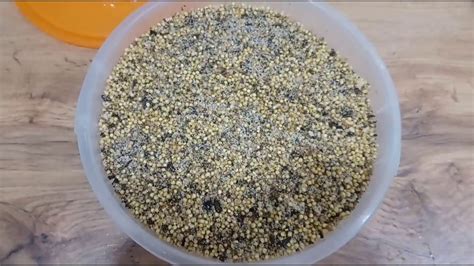 Лучшая прикормка для белой рыбы: плотвы, шармана, густеры, подлещика ...