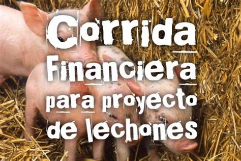 Corrida Financiera Para Lechones Corridas Financieras Por Negocio