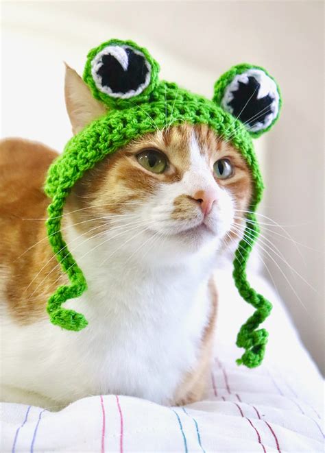 Frog Hat For Cats Funny Feline Frog Accessory Costume Frog Etsy