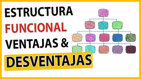 🤓 Qué Es Una Estructura Organizacional Funcional Funciones 😲