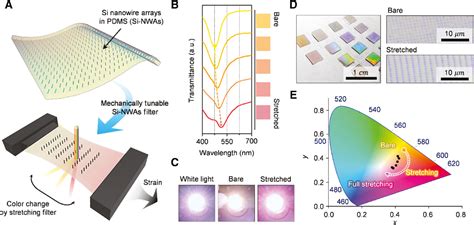 Mechanotunable Optical Filters Based On Stretchable Silicon Nanowire Arrays