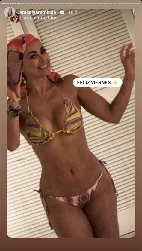 Aracely Arámbula sacudió la red en traje de baño Noticias de Chile y