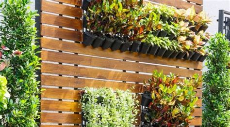 ¿cómo Hacer Un Jardín Vertical En Tu Casa Oriol Jardineria