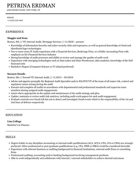 Vp Internal Audit Resume Samples Velvet Jobs