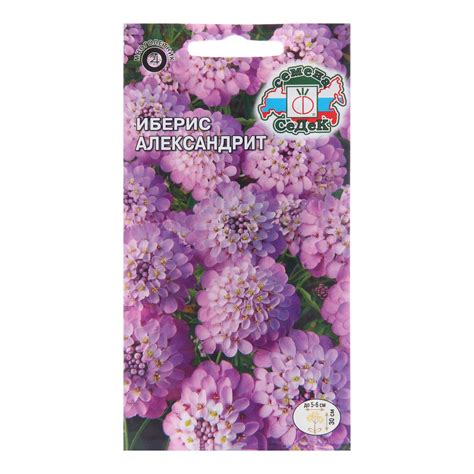Семена цветов Иберис "Александрит", Евро, 0,1 г (10280205) - Купить по ...
