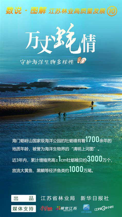 万丈“蚝”情，守护海洋生物多样性 关注森林