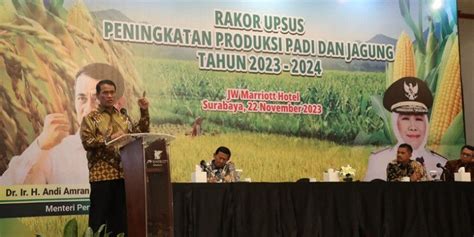 Mentan Amran Genjot Kembali Upsus Percepatan Produksi Padi Dan Jagung