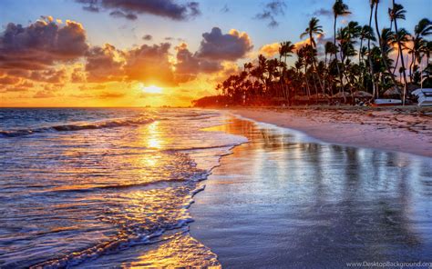 Tropical Sunset 4K Wallpapers - 4k, HD Tropical Sunset 4K Backgrounds on WallpaperBat