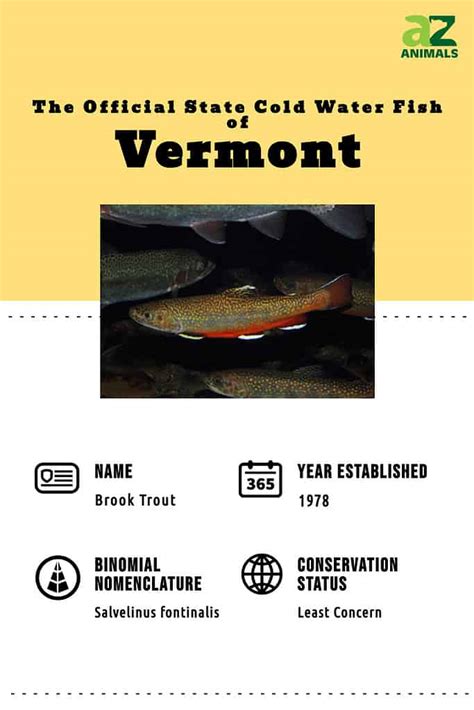 Discover The Official State Fish Of Vermont And Where You Might Spot