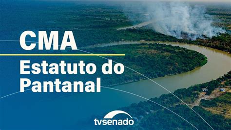 Ao vivo Comissão de Meio Ambiente analisa Estatuto do Pantanal 3 7