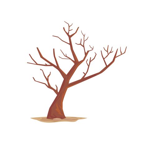 Leafless Dry Tree Vector Illustration Isolated On White Background