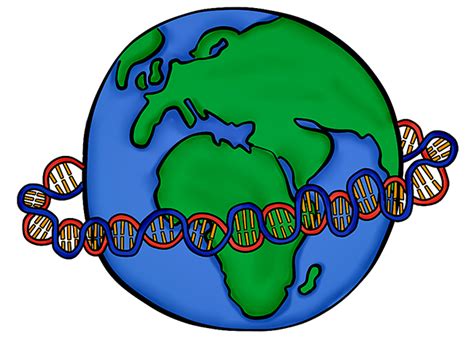 Studies show complicated relationship between race, genetics – The Daily Texan