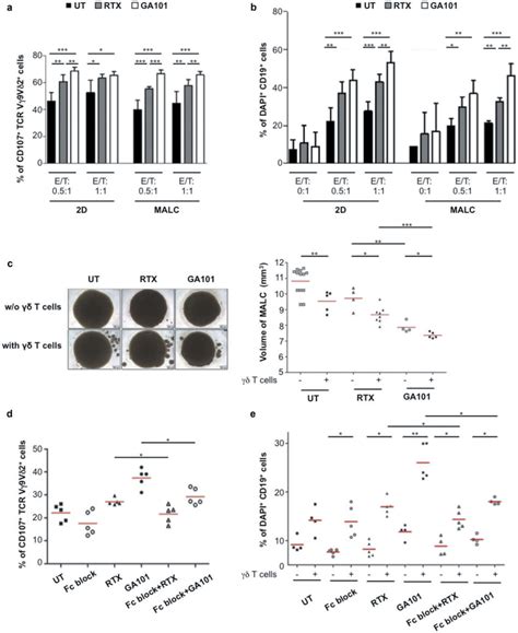 In vitro ADCC in TCRVγ9Vδ2 T cell MALC co culture model RL cells in