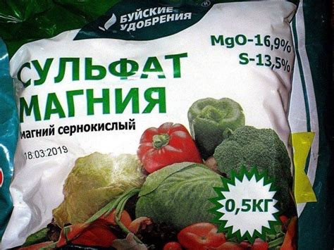Сульфат магния для томатов: как применять с максимальной пользой