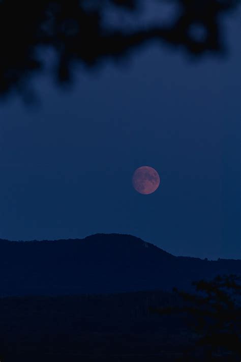 Red Moon Photos, Download The BEST Free Red Moon Stock Photos & HD Images