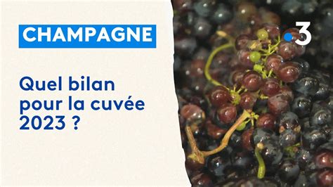 Champagne Le Bilan Des Vendanges 2023 YouTube