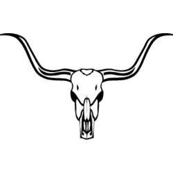 Longhorn Skull Decal - Decal Depot.net