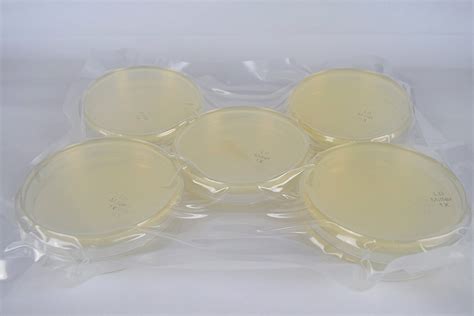 Millers Lb Agar 10 Pack Pre Poured Petri Plates Philippines Ubuy