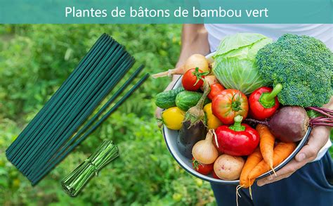 Tuteur Plante Tuteur Plante Verte Plante Piquet Support Tuteur Plante