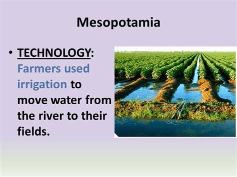 Mesopotamia Farming Tools - turkiyecinisgelistirme.com