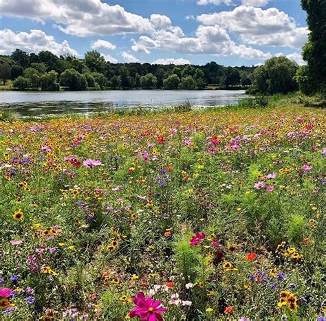 Hever Castle On Instagram Hever Castles Magical Meadow