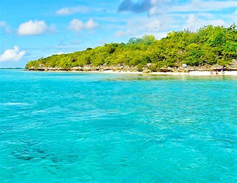 Ile Aux Aigrettes Reserve Blue Bay Glasbodenboot GetYourGuide