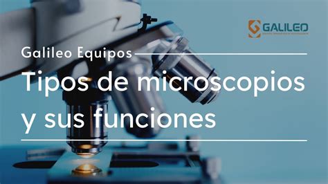 Tipos De Microscopios Y Sus Funciones Galileo Equipos Youtube