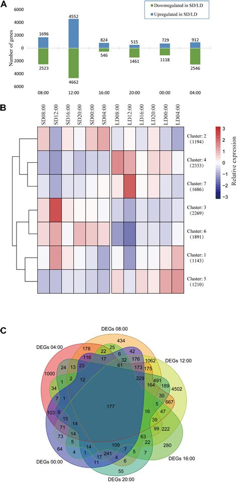 Frontiers Transcriptome Analysis Reveals Photoperiod Associated Genes