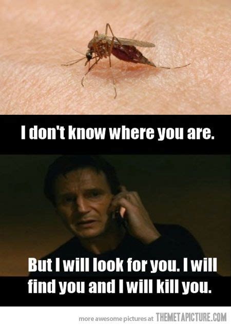 Funny Mosquito Funny Pictures Mosquito