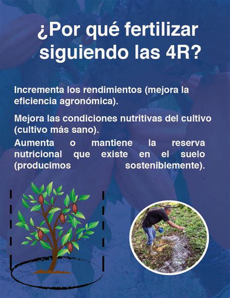 Fertilización del cacao basado en las 4Rs Progresa Caribe