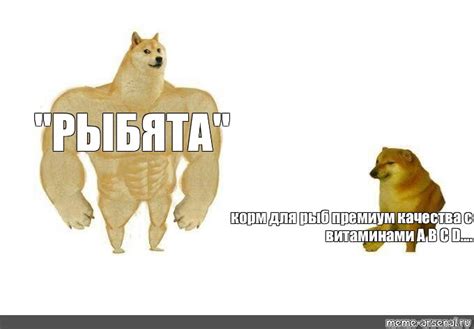 Комикс мем: ""РЫБЯТА" корм для рыб премиум качества с витаминами A B C ...