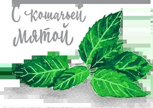 Гестренол капли для котов: способ применения, инструкция, отзывы, цена ...