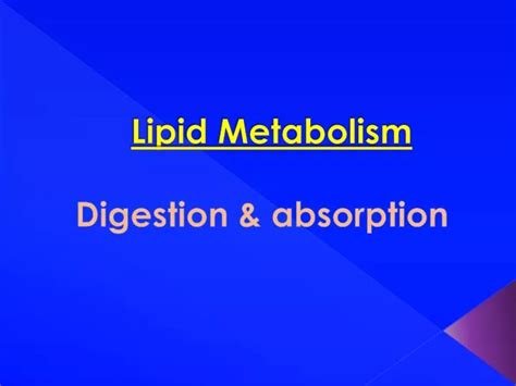 Ppt Lipid Metabolism Powerpoint Presentation Free Download Id2192121