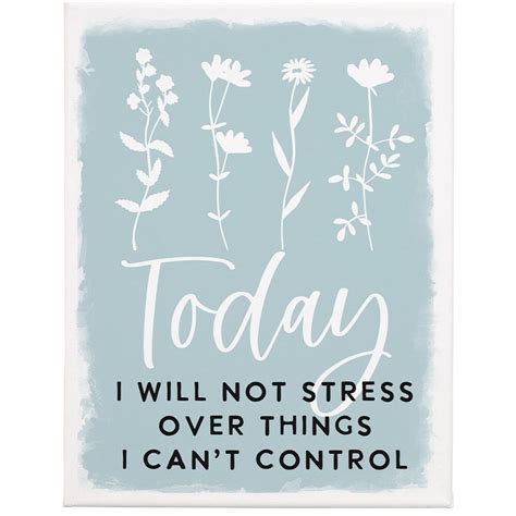 Today I Will Not Stress Over The Things I Can T Control Wrapped Canvas