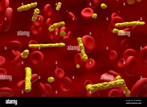 Cholesterol Crystals In The Blood Flow Isometric View 3d Illustration