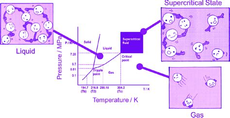 Conceptual Phase Diagram Of CO 2 And A Depiction Of The Motion Of