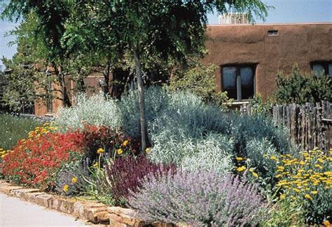 Xeriscape Shade Garden Thuem Garden Plant