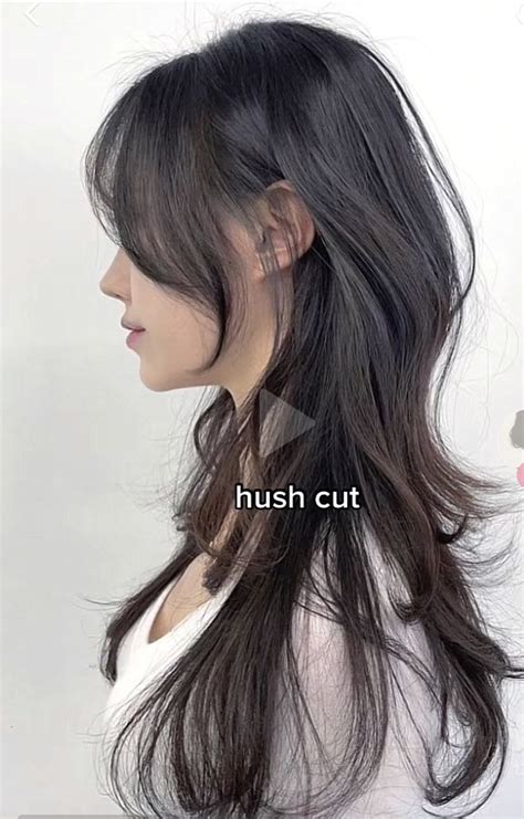 Hairstyles For Layered Hair Haircuts Straight Hair Long Hair Cuts