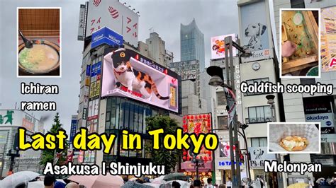 Last Day In Tokyo Asakusa Melon Pan And Goldfish Scooping And